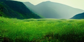 白山周边草地哪里好玩？这些宝藏地点你绝对不能错过！