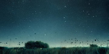 我好想你是什么歌的歌词？