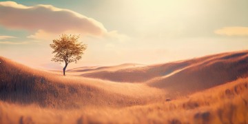 王俊凯唱的童歌究竟是哪一首呢？
