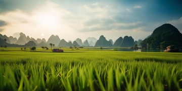 越南有什么景点需要提前预约的吗？