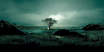 文心一言为何突然沉默？不回答问题的背后有何隐情？