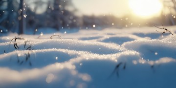 物业有责任铲雪吗？责任划分与法律依据解析