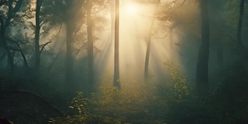 郑爽美国男友照片真实吗？