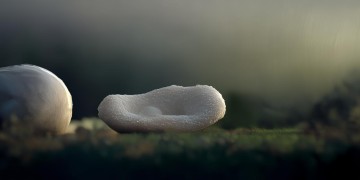 豆包能否实现AI换脸？