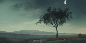 死的心都有是什么歌？深度解析这句歌词背后的情感与音乐
