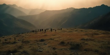 乐山当兵的男友真的很多吗？