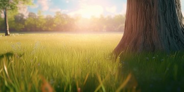 忘记昨天从零开始，这首歌究竟叫什么名字？