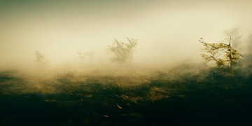汪苏泷感冒咳嗽是哪首歌的歌词或背景？