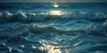 我梦见你蹲在海边是什么歌？