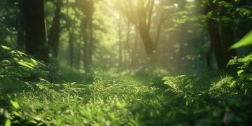 男友干净就可以不戴套吗？