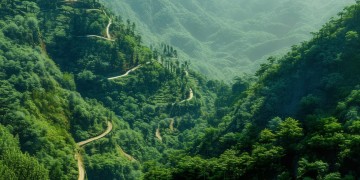 莫干山究竟藏了多少惊喜？它真的好玩吗？