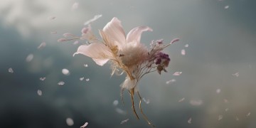 领花可以送给女友吗？