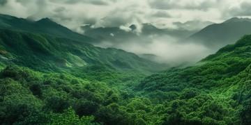赣南稀土股票，究竟是怎样的投资标的？