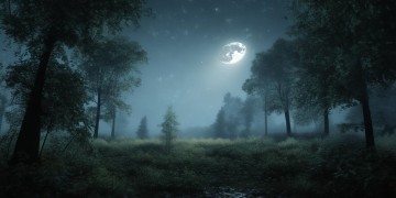 夜晚没雨也没太阳是什么歌？