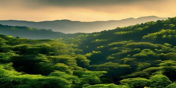 海口东山岭景区票价到底是多少呢？