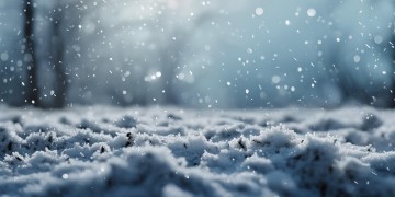 片片雪花泪洒风中是什么歌？
