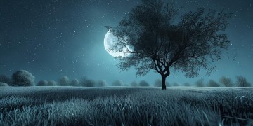 在悲伤中入眠是哪首歌的歌词？