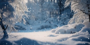 下起了雪是什么歌？探寻雪景中的动人旋律