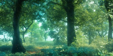 哪些股票能够真正逃离量化交易的魔爪？