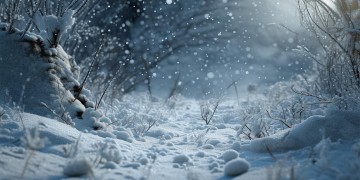 飘雪的中文版歌曲名称是什么？