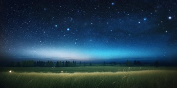 女友你见过满天星吗？