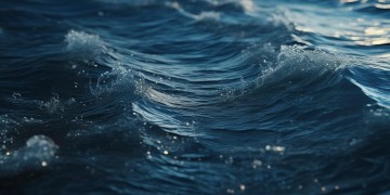 什么歌里面有人海中？