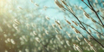 春风摇爱上柳絮飘究竟是哪首歌的浪漫旋律？