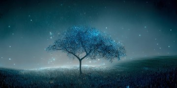 也不能就放弃那些触动心灵的歌，它们究竟有何魔力？