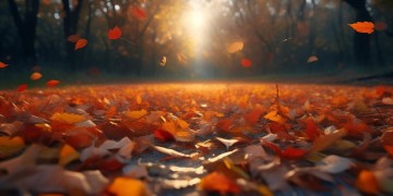 落叶与黄昏，究竟是哪首歌的浪漫邂逅？