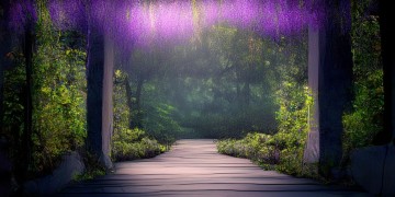 宝桐紫花园是什么物业公司管理？