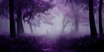 紫色的英语这是什么歌？探寻神秘旋律背后的故事