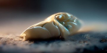 豆包AI写文案怎么用？