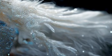 雪歌是什么动物的衣服？