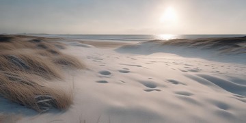 冬天去营口海边，究竟哪里才是最佳游玩地？