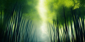 耒阳竹海风景区门票到底多少钱？