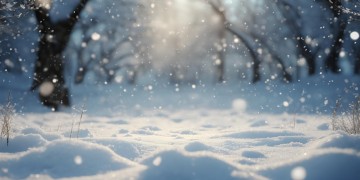 男友雪花结局是什么？