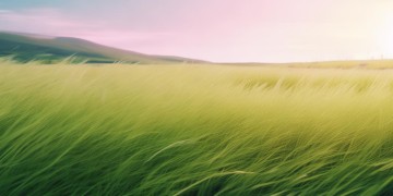 刘畊宏草原抖肩舞的背景音乐究竟是哪首歌？