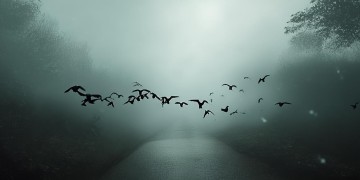 手游乌鸦能上路吗？深度解析其上路可行性及策略