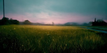 风静了雨停了你走了，是哪首歌的深情诉说？