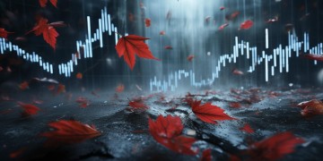 股灾来袭，是否所有股票都会无一幸免地下跌？