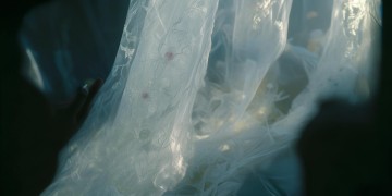 你掀起我的面纱是什么歌？
