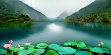 天目湖景点特产是什么？