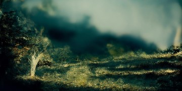 这些天辛苦的付出是哪首歌曲的歌词？