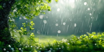 春风及时雨是哪首歌的歌词？