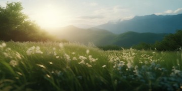 温柔的山风是什么歌？