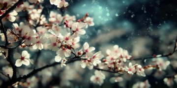 楚留香手游很花钱吗？