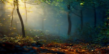 黄子佼真的曾是大S的昔日恋人吗？