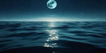 海艺AI人像模型可以下载吗？