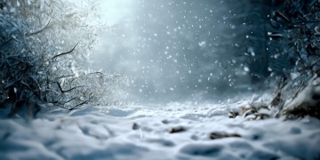 雪花纷纷飘落是什么歌的旋律在回响？