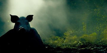 谁在扮猪吃老虎究竟是哪首歌？